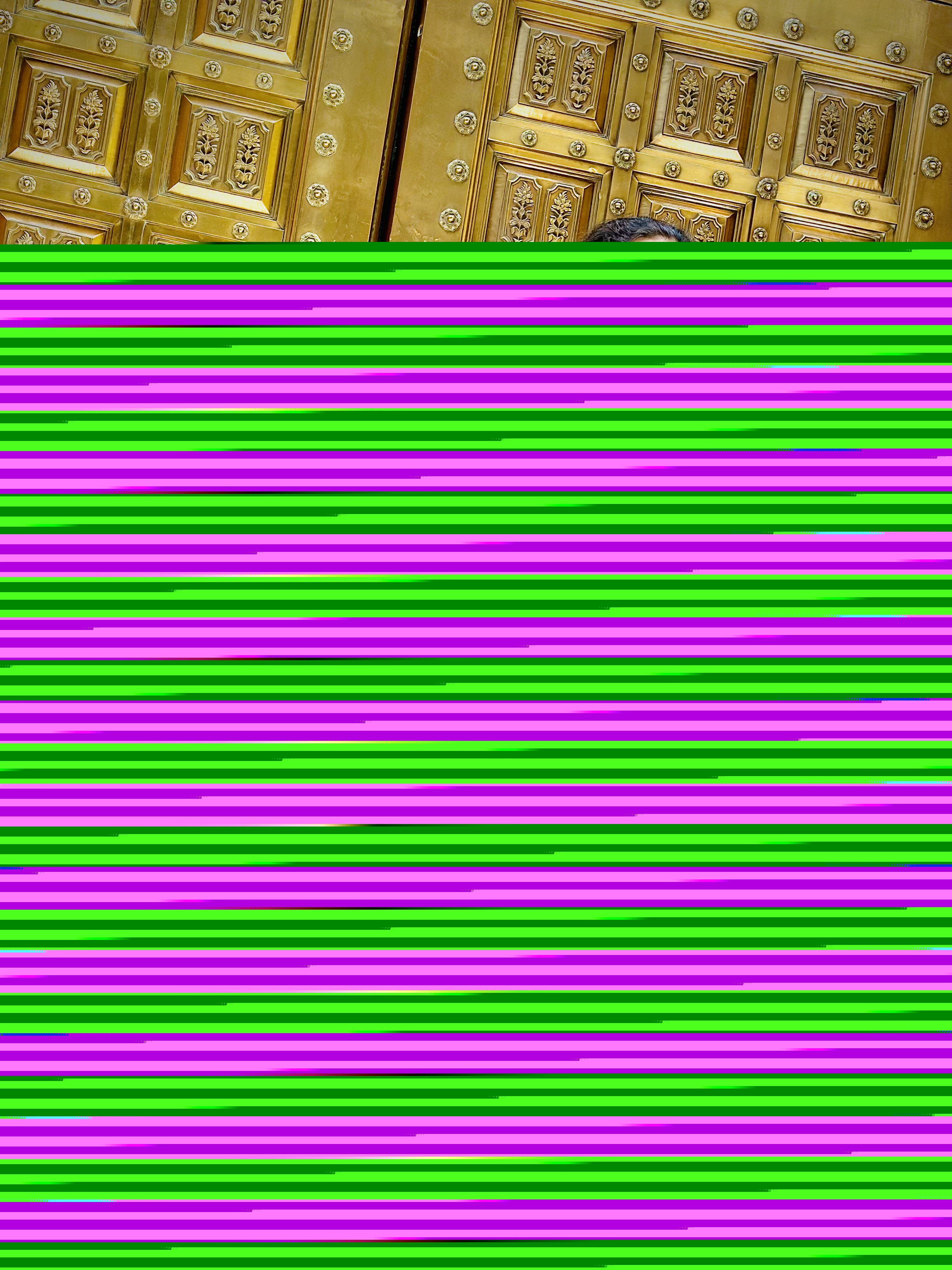 Aryan Rohira standing gracefully in front of an ornate golden gate